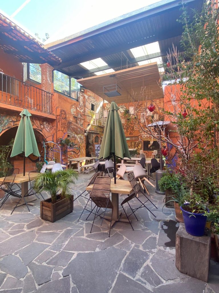 Universität für Kunst in San Miguel de Allende (Paint Workshop)